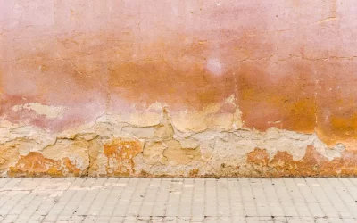 Duvarda Rutubet ve Küf